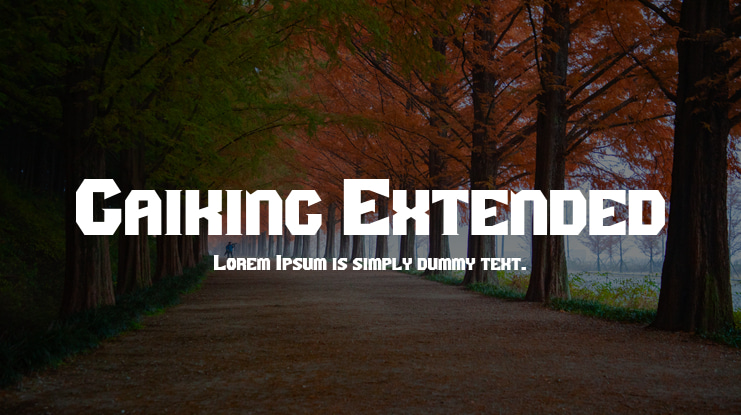 Gaiking Extended Font Family