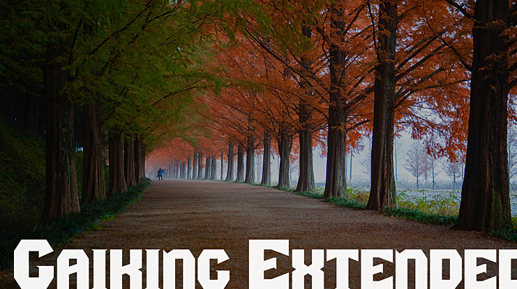 Gaiking Extended Font Family