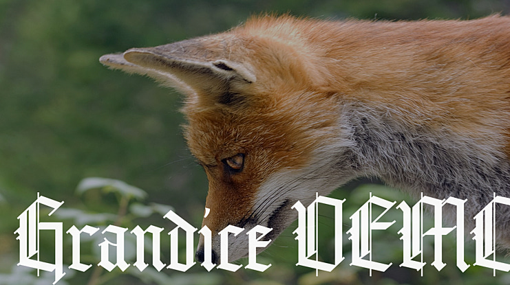 Grandice DEMO Font