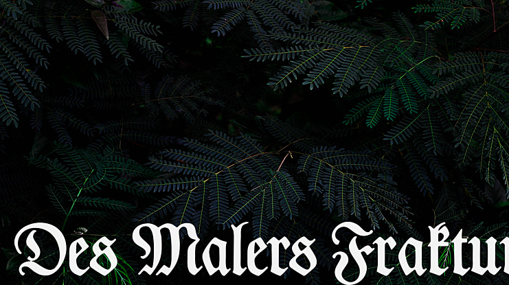 Des Malers Fraktur Font