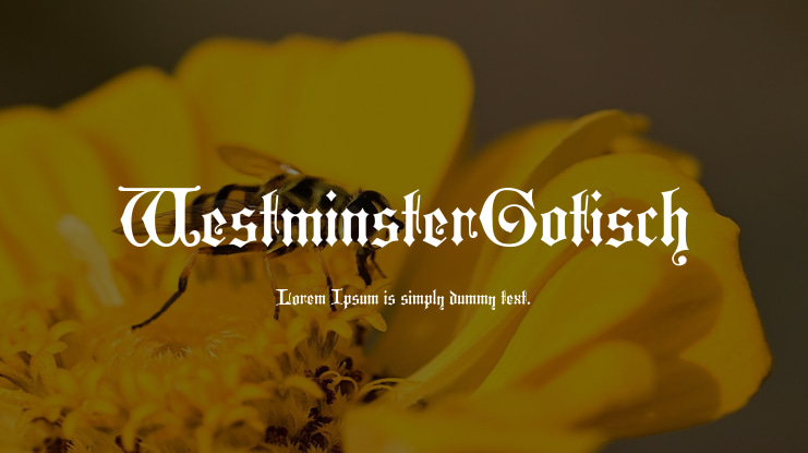 WestminsterGotisch Font