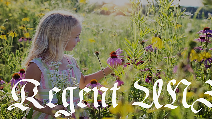 Regent UNZ Font