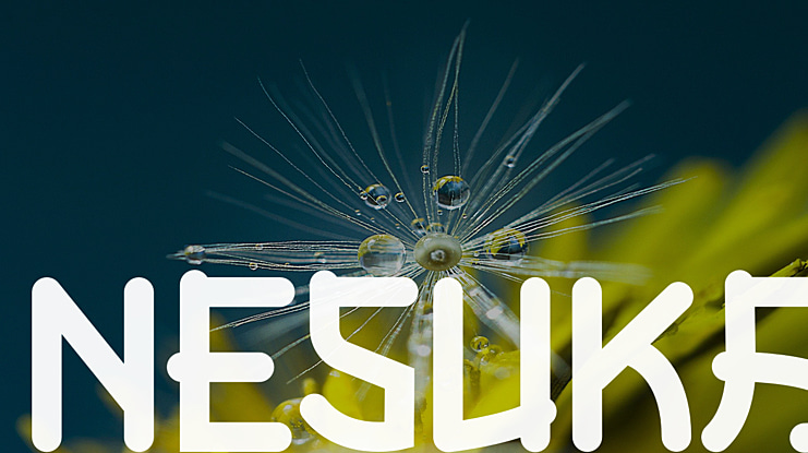 NESUKA Font