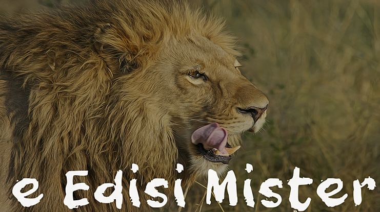 e Edisi Misteri Font