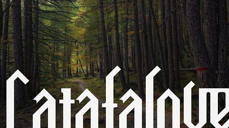 Catafalque Font