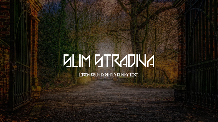 Slim Stradiva Font