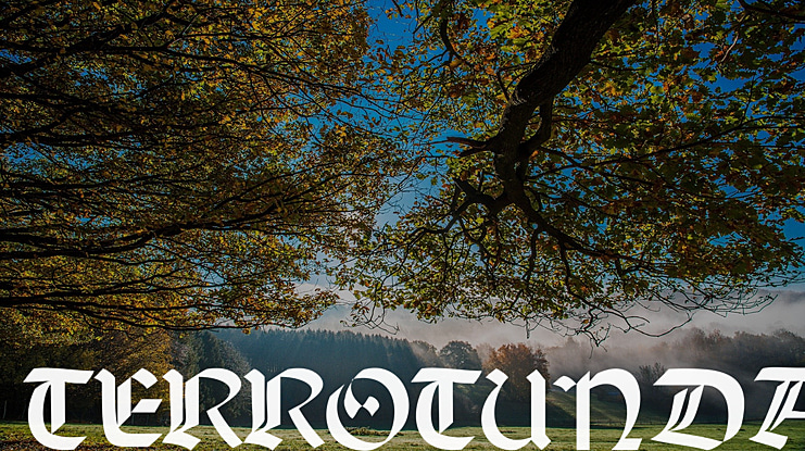 TERROTUNDA Font