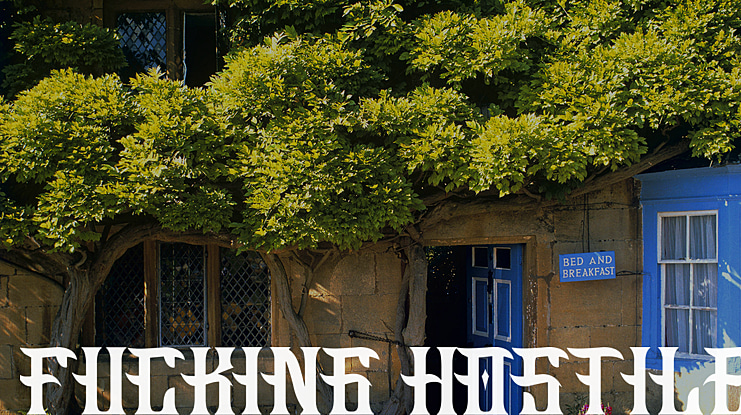 Fucking Hostile Font