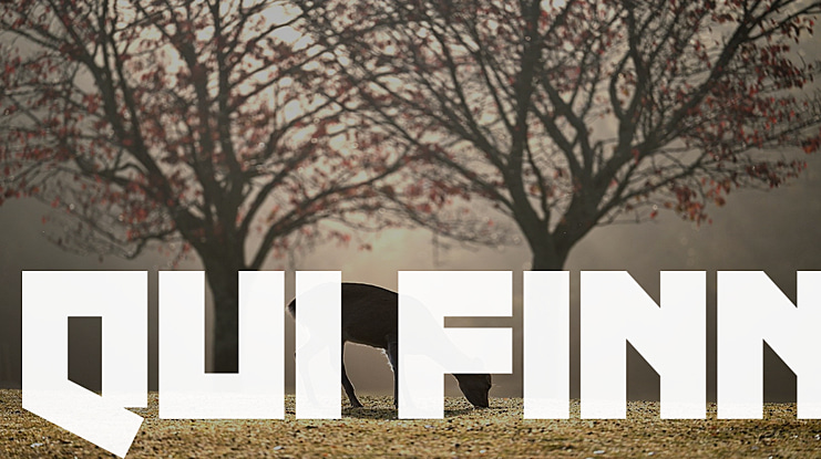 Qui Finn Font