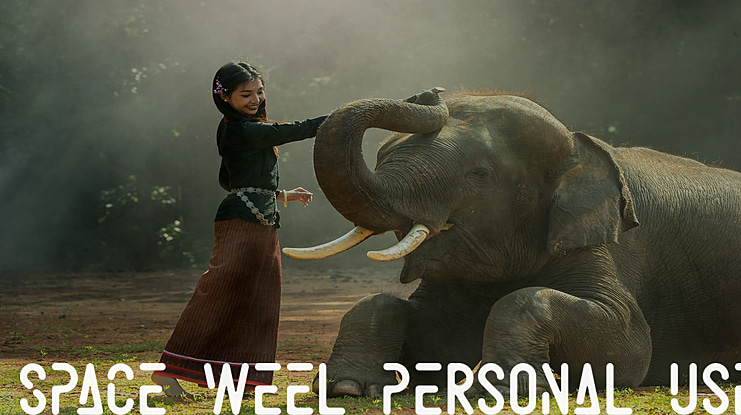 Space Weel Personal Use Font
