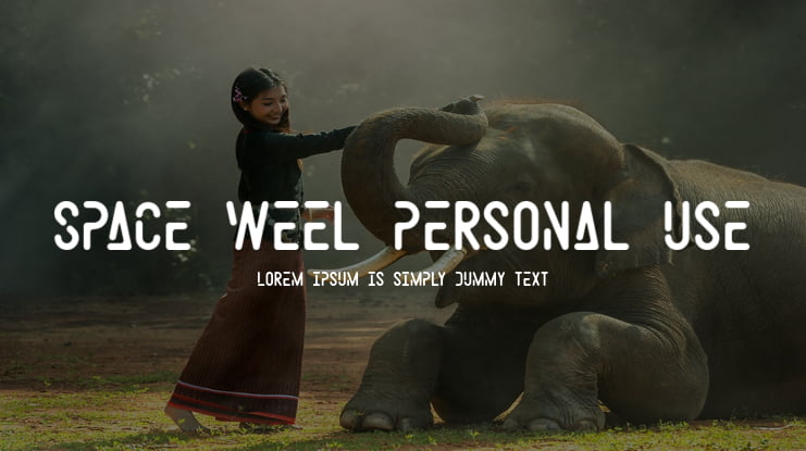 Space Weel Personal Use Font