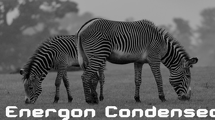 Energon Condensed Font Family
