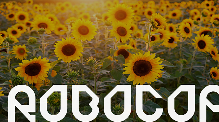 ROBOCOP Font Family