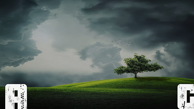 After the Goldrush Font