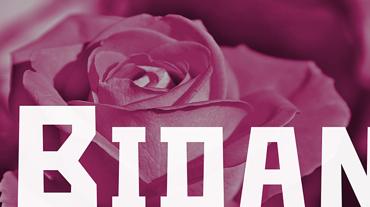 Bidan Font Family