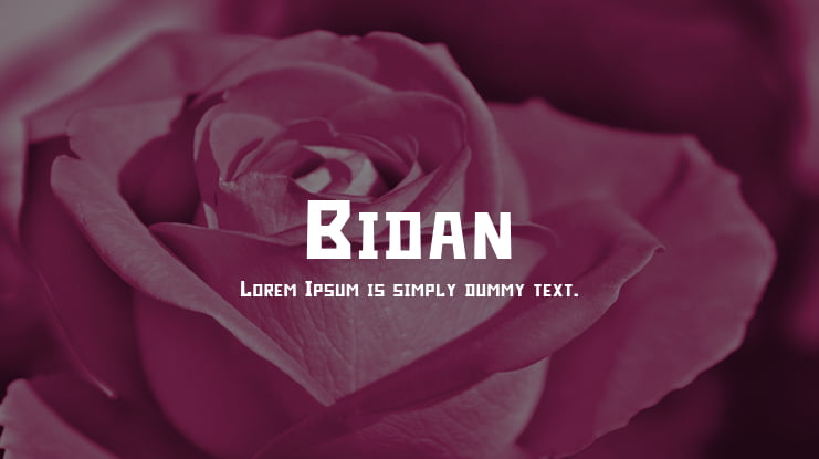 Bidan Font Family