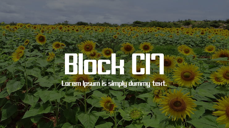 Block C17 Font