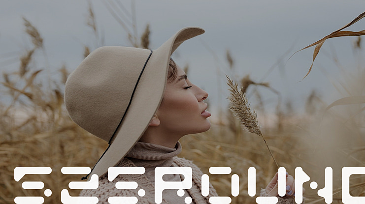 525round Font Family