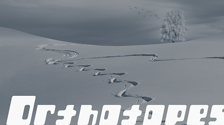 Orthotopes Font Family