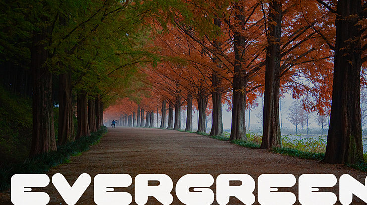 EVERGREEN Font