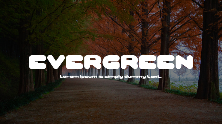 EVERGREEN Font