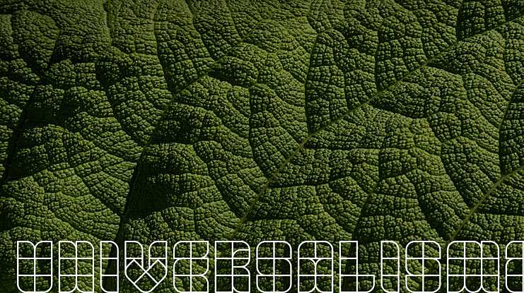 UNIVERSALISME Font Family