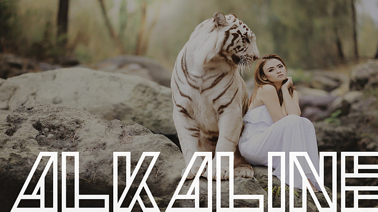 Alkaline Font