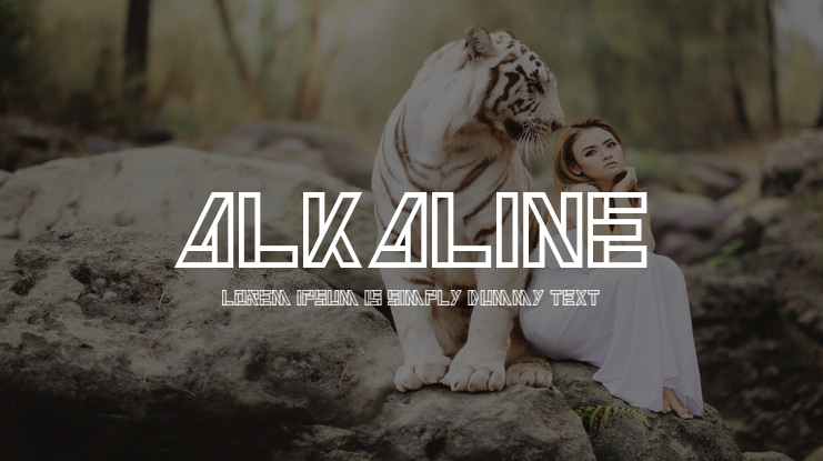 Alkaline Font