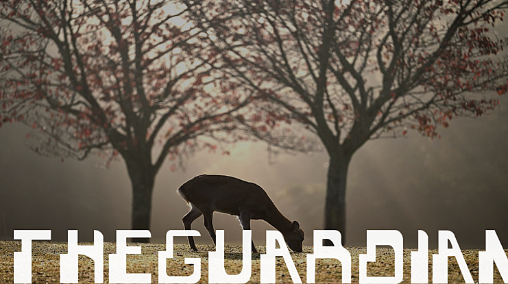 TheGuardian Font