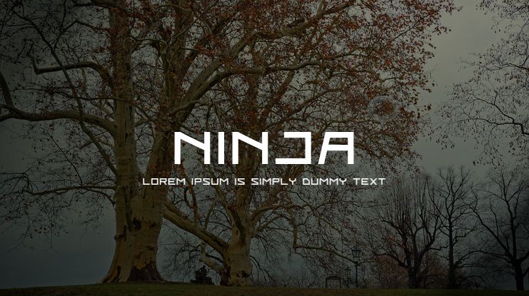 NINJA Font