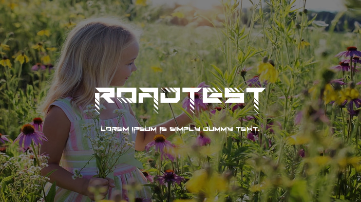 RoadTest Font Family