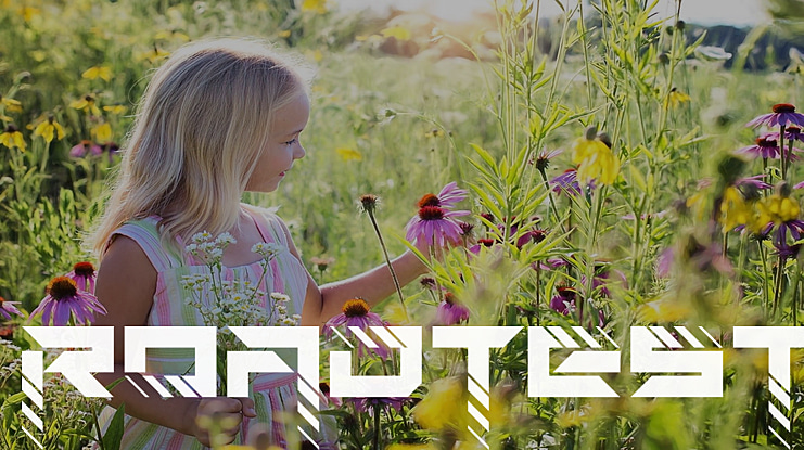 RoadTest Font Family