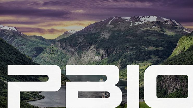 PBIO Font