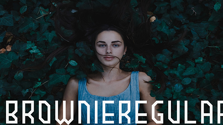 BROWNIEregular Font