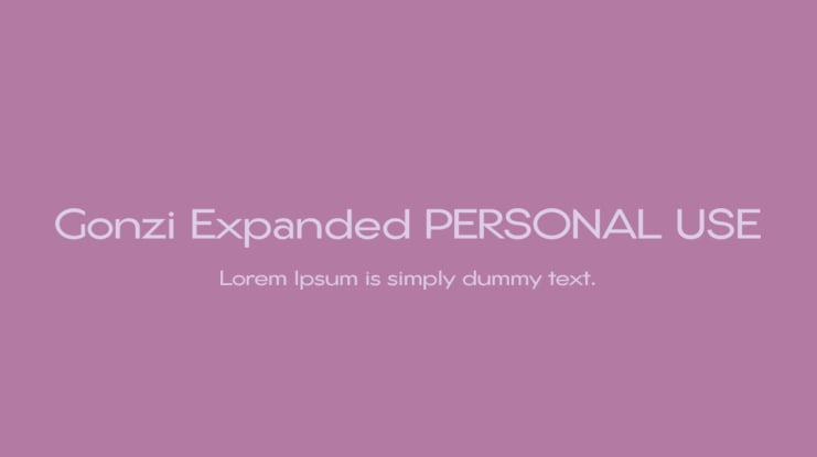 Gonzi Expanded PERSONAL USE Font Family
