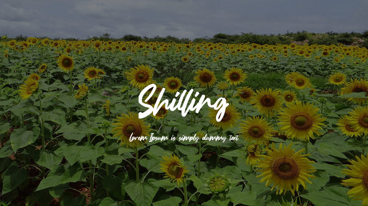 Shilling Font