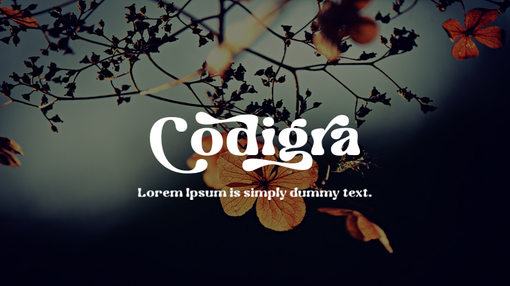 Codigra Font