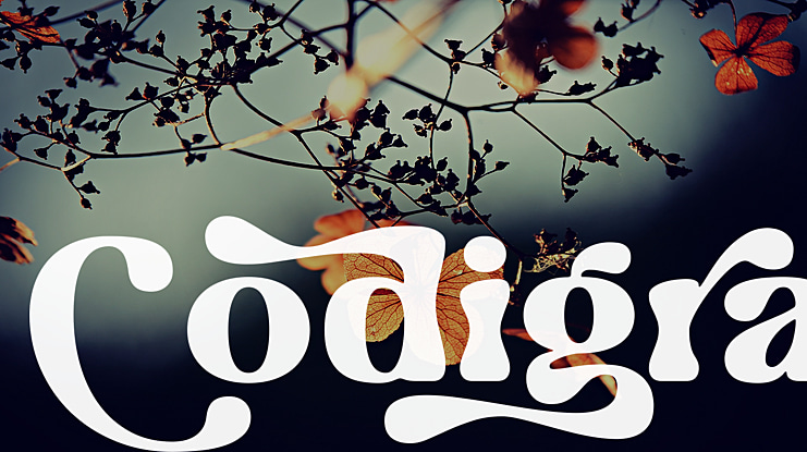 Codigra Font