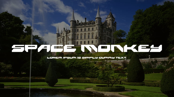 Space Monkey Font