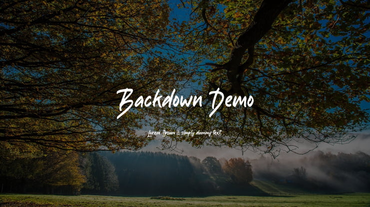 Backdown Demo Font