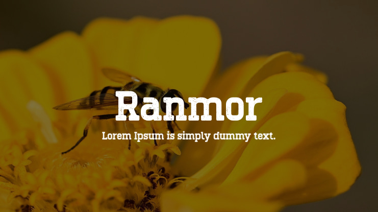 Ranmor Font