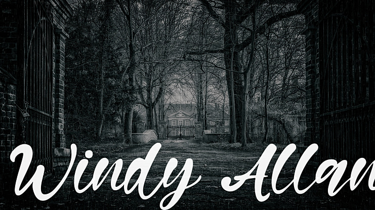 Windy Allan Font