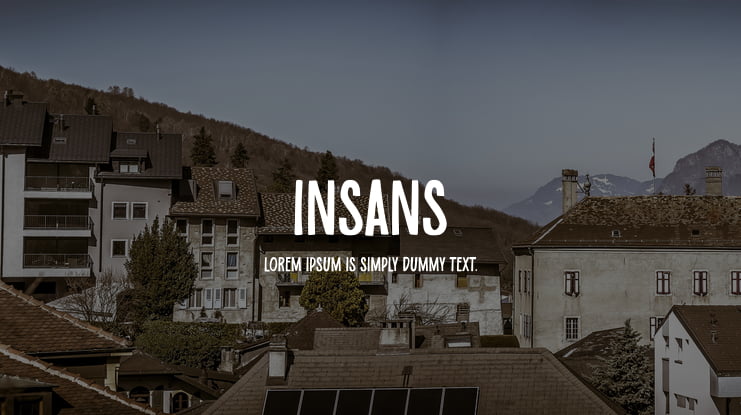 Insans Font