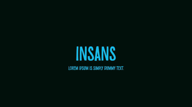 Insans Font
