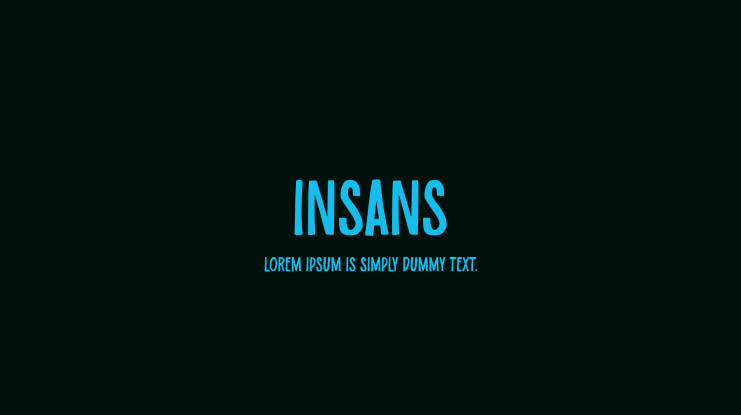 Insans Font