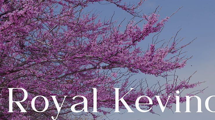 Royal Kevino Font