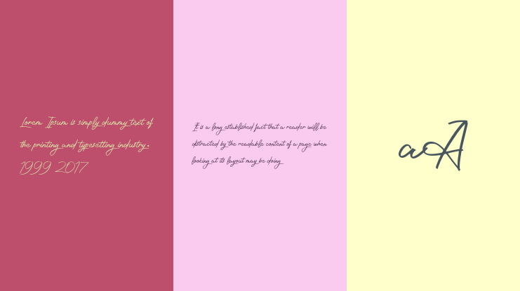 Photographer_Script Font