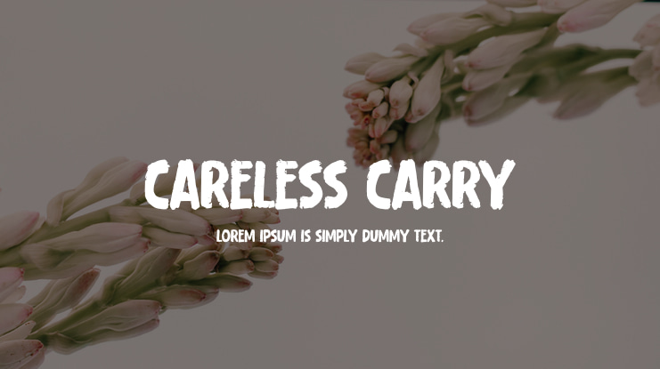 Careless Carry Font