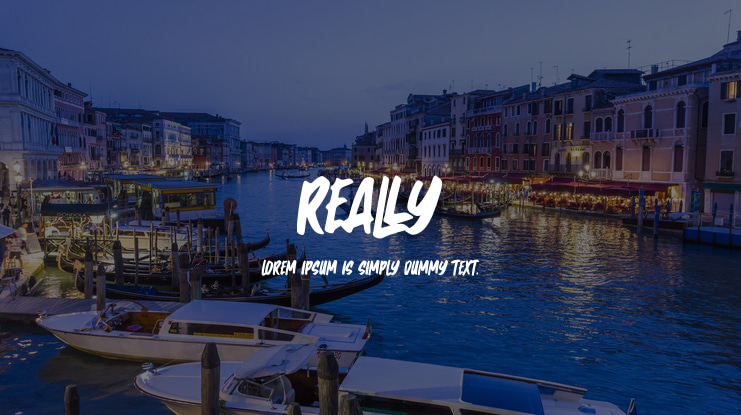 Really Font