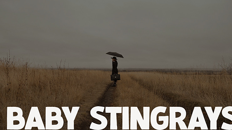 Baby Stingrays Font
